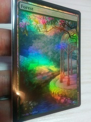 Forest #20 Foil Extended